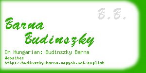 barna budinszky business card